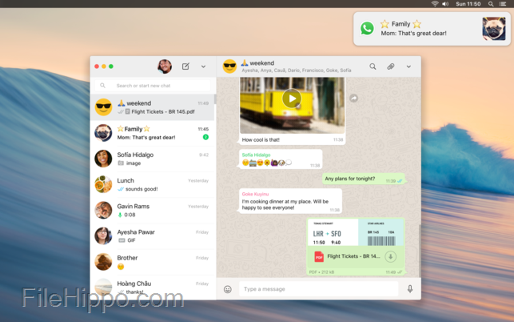 whatsapp business download mac