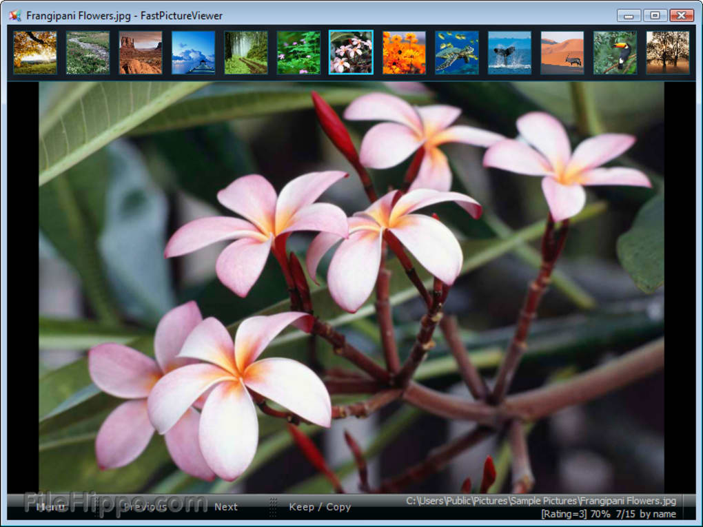 FREE FastPictureViewer 1.9 Software