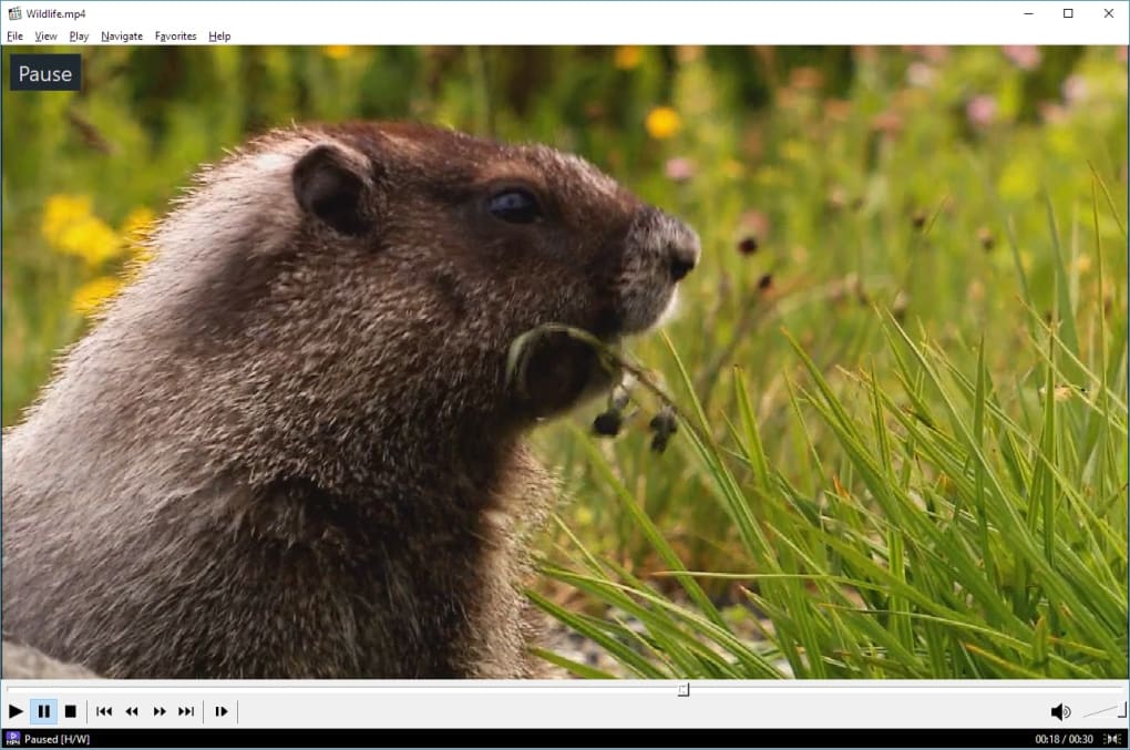 media player classic for windows 10 free download