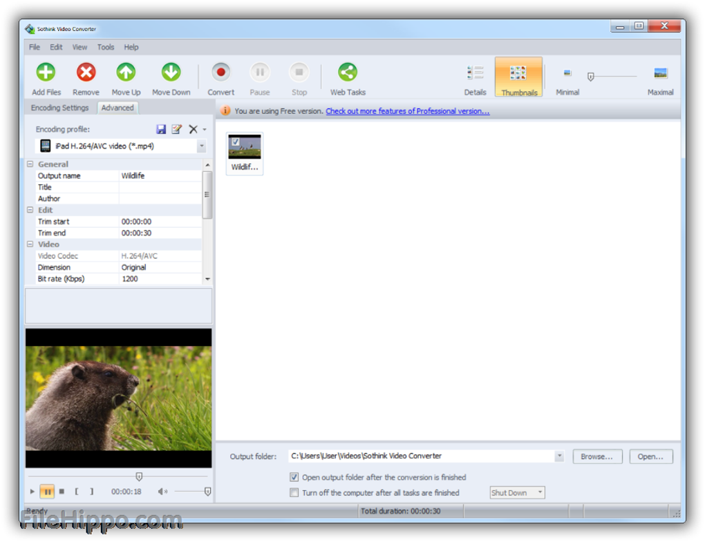 Как в free video converter конвертировать в bik