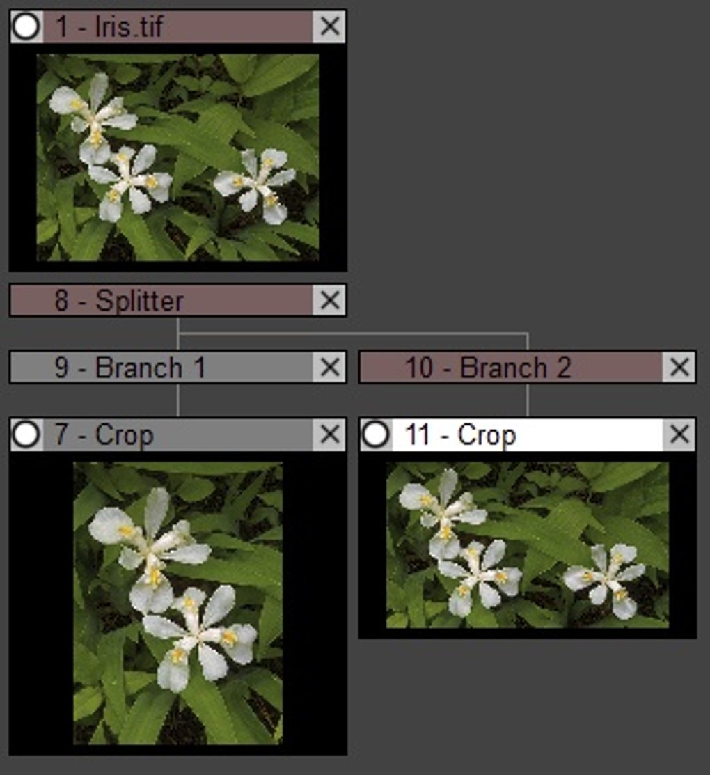 Descargar Picture Window Pro 8.0 para Windows - Filehippo.com