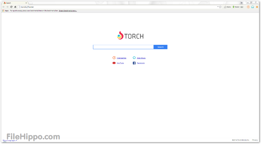 google torch download