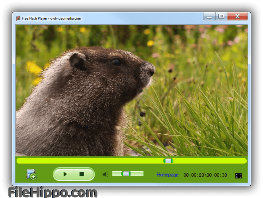Download Free Flash Player 2.6 for Windows - Filehippo.com
