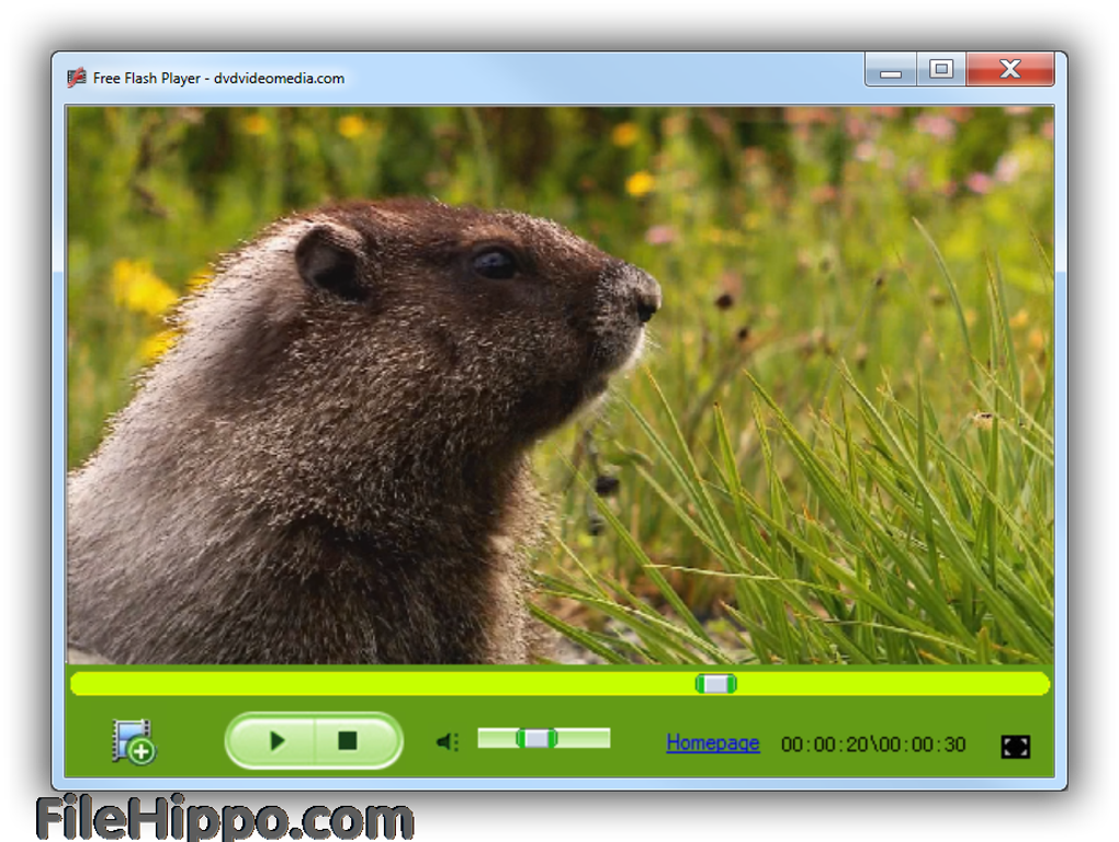 flash player download free for windows 10 64 bit