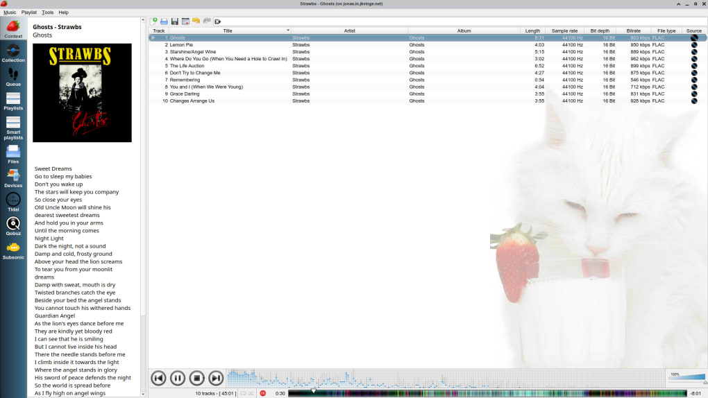 instal the new for windows Strawberry Music Player 1.0.18