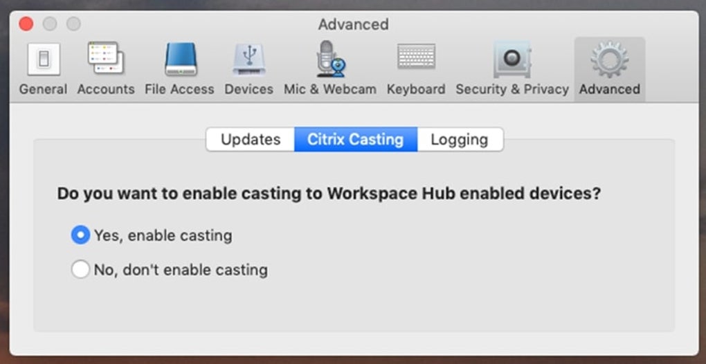 citrix workspace mac