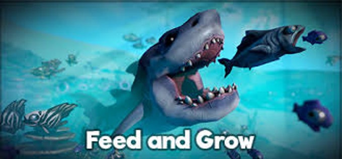 Baixar Feed and Grow Fish Feed para PC - LDPlayer