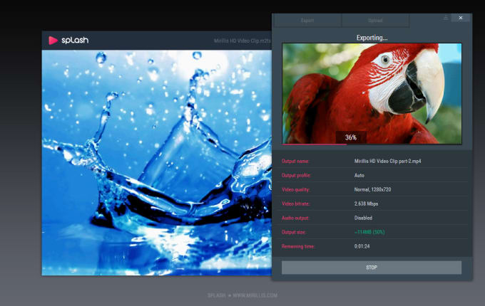 Windows用のsplash Video Player 2 7 0をダウンロード Filehippo Com