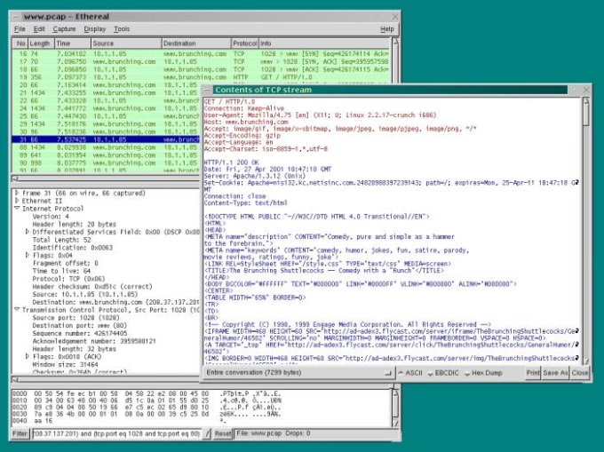 Download Wireshark 3 4 8 For Windows Filehippo Com