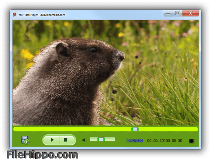 Adobe Flash Player 11 Filehippo Download
