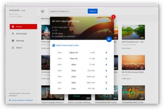 Выбор качества и формата в Videoder для Windows
