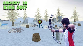 Bild 0 für Archery 3D King 2017