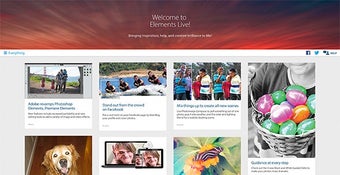 Image 2 for Adobe Premiere Elements