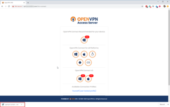 Download OpenVPN for Windows