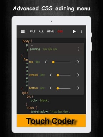 Bild 0 für HTML CSS Live Code Editor…