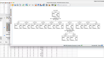 Image 4 for IBM SPSS Statistics