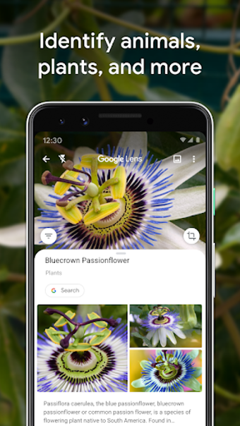 Image 1 pour Google Lens
