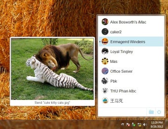 Immagine 0 per Any Send (64bit)