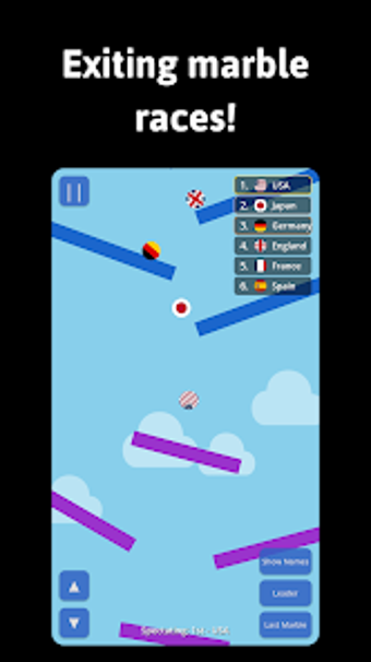 Bild 0 für Marble Race: The game