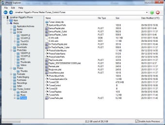 Imagen 3 para iPhone Explorer