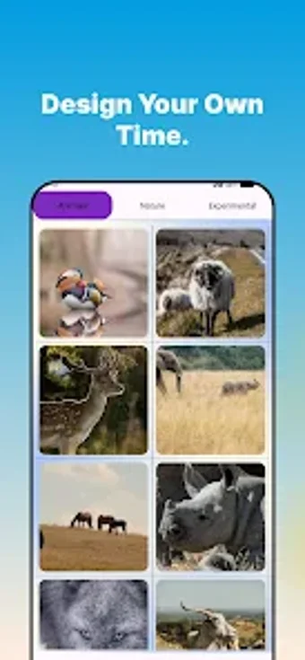 Image 0 pour WallpaperEngine