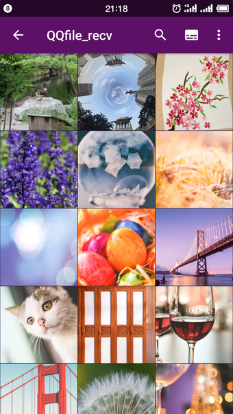 Immagine 3 per Smart Gallery - Photo Man…