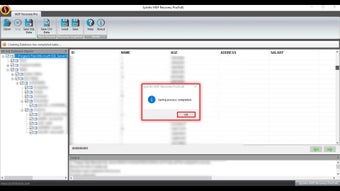 Obraz 0 dla Sysinfo MDF Recovery Pro