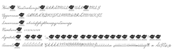 Obraz 0 dla Castro Script