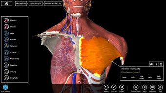 Obraz 0 dla Essential Anatomy