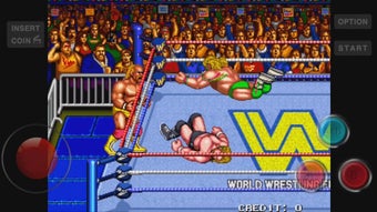 WWF WrestleFestの画像0