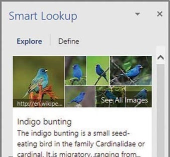Image 0 for Microsoft Word 2016