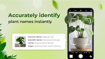 Obraz 0 dla PlantId: Identifier  Care