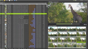 Fast Video Catalogerの画像0