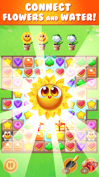 Image 0 pour cookie sunflower : match …