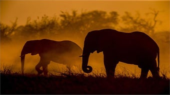 Immagine 0 per National Geographic Safar…