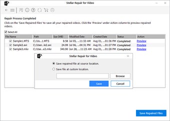 Image 6 for Stellar Repair for Video