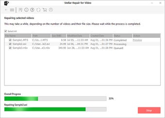 Image 2 for Stellar Repair for Video