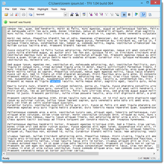 Text File Viewer