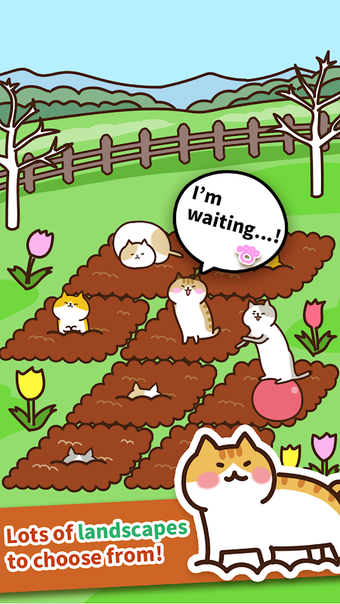 Field of Cats