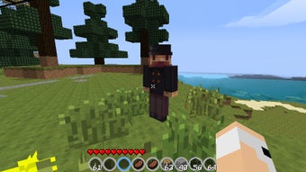 Bild 1 für Herobrine Mod