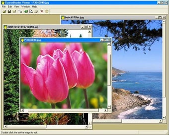 Bild 0 für ScreenHunter