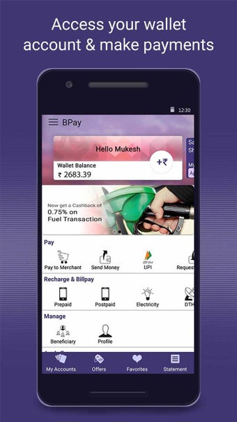 Immagine 2 per Fino BPay