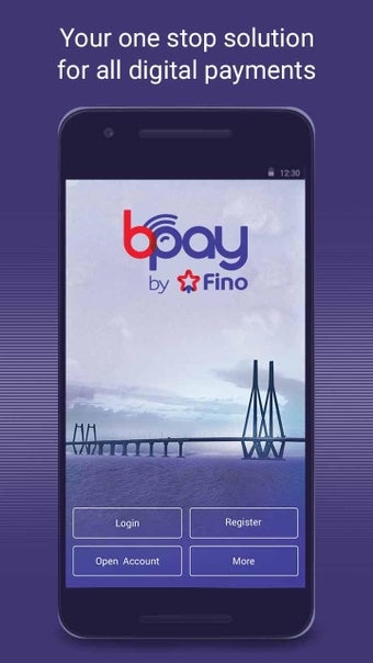 Immagine 1 per Fino BPay