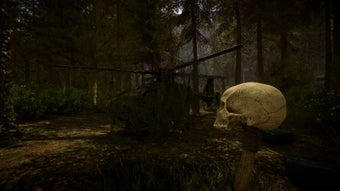 Obraz 0 dla Sons Of The Forest