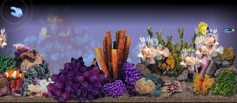 Image 0 pour 3D Tropical Aquarium Scre…
