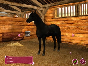 Image 11 for Horse Life
