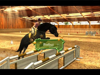 Image 6 for Horse Life
