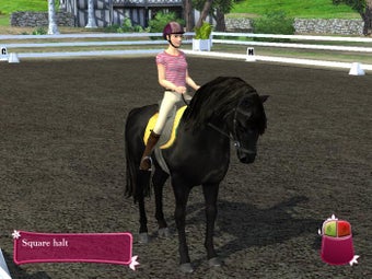 Image 2 for Horse Life