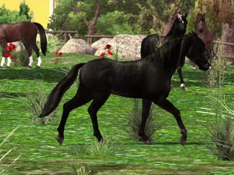 Image 8 for Horse Life