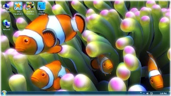 Clownfish Aquarium Live Wallpaper